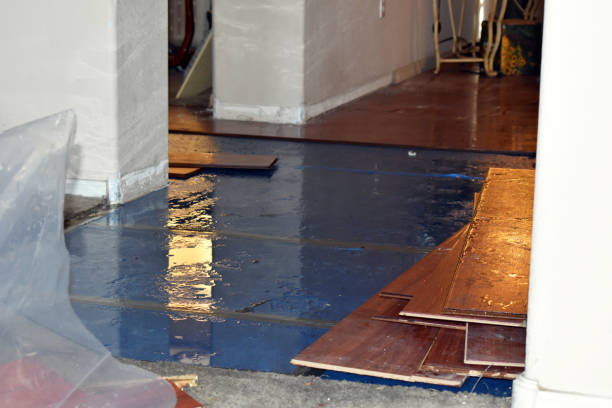 Professional Emergency Water Damage Restoration technician working in Hatley, WI